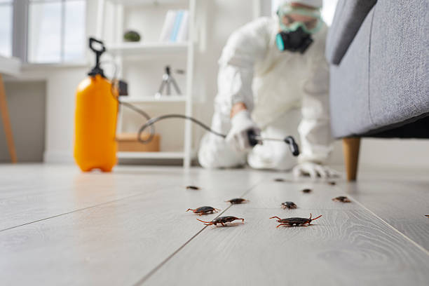 Post-Treatment Bed Bug Interceptor Monitoring in Unicoi
