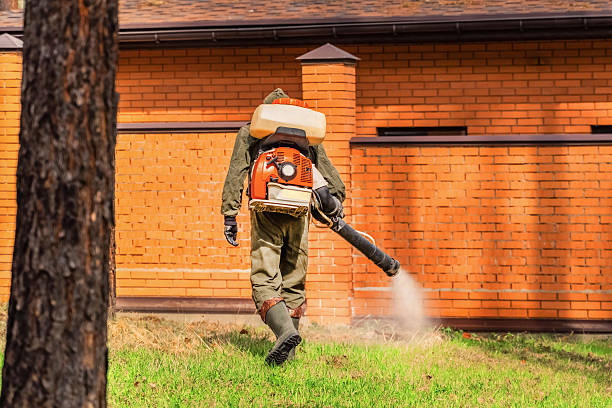 Bed Bug Clearance Verification and Documentation in Unicoi